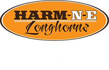 Harm-N-E Longhorns logo