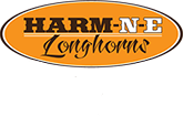 Harm-N-E Longhorns footer logo